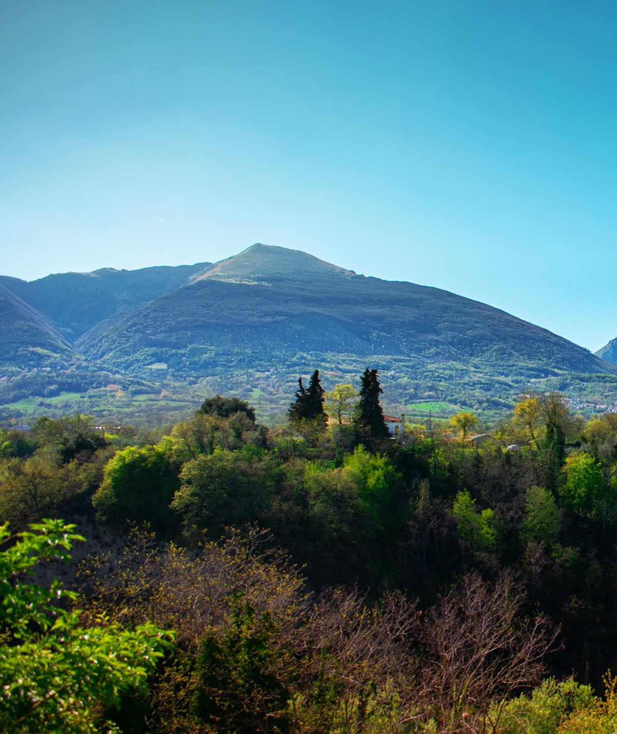 Foltrone Mountain and the Valley of the Squirrels